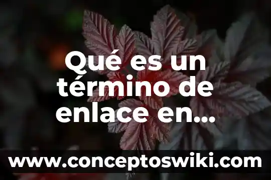 Qué es la filosofía en el término griego 3 Qué es un término de enlace en lógica