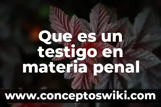 Que es sistema penal oral acusatorio 3 Que es un testigo en materia penal