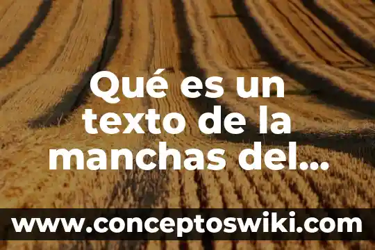 El cartel texto para niños que es 3 Qué es un texto de la manchas del ocelote