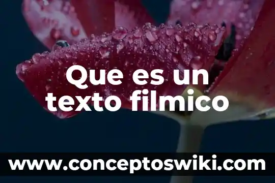 Qué es un texto de la manchas del ocelote 8 Que es un texto filmico