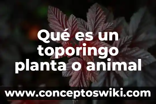 Que es una planta electrica insonorizada 3 Qué es un toporingo planta o animal