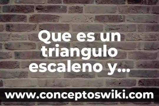 Qué es un verbo significado y ejemplo 8 Que es un triangulo escaleno y ejemplo