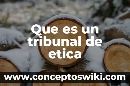 Qué es ética diapositiva 7 Que es un tribunal de etica