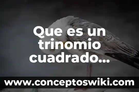 Que es trinomio general 7 Que es un trinomio cuadrado perfecto ejercicios