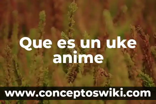 Que es enh anime 6 Que es un uke anime