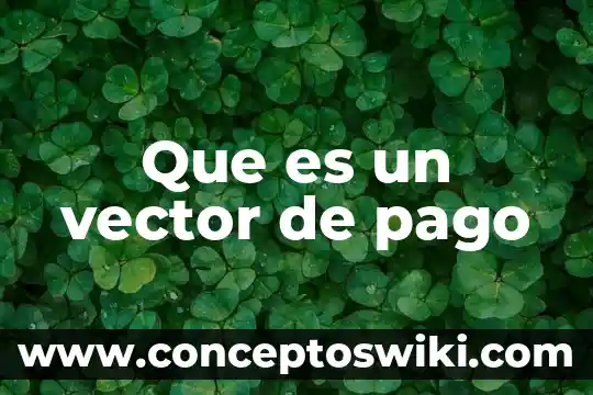 Pago bimestral que es 8 Que es un vector de pago