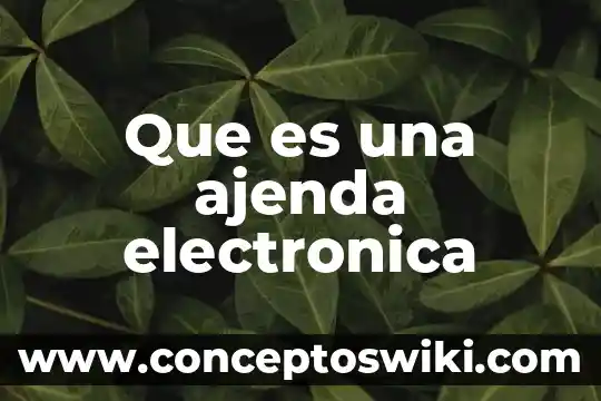 Por que es necesario la firma electrónica sat 5 Que es una ajenda electronica