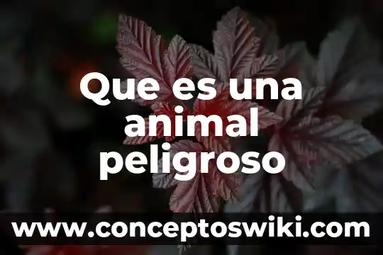 Qué es el camuflaje animal 6 Que es una animal peligroso