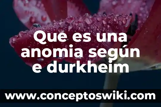 Qué es la sociología según Emile Durkheim 6 Que es una anomia según e durkheim