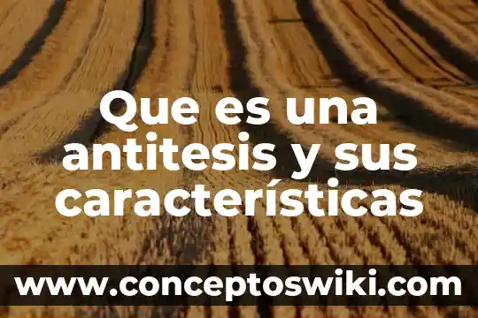 Que es comerciante y sus caracteristicas 3 Que es una antitesis y sus características