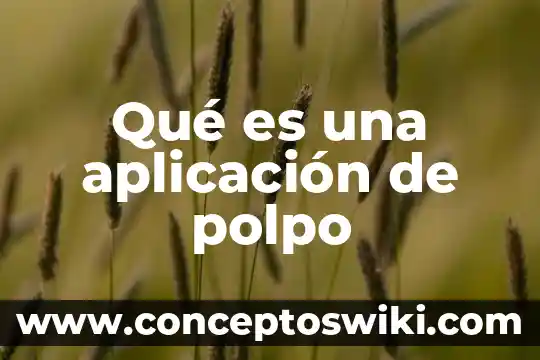 Que es software de aplicacion ejecutivo 5 Qué es una aplicación de polpo