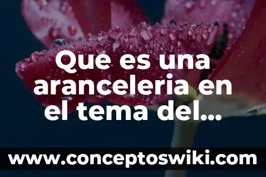 Que es la organizacion del comercio 5 Que es una aranceleria en el tema del comercio