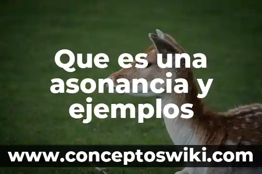 Qué es pi y ejemplos 6 Que es una asonancia y ejemplos