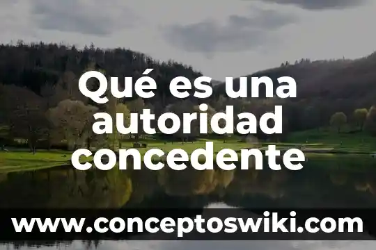 Página web que es autoridad para los niños que significa 5 Qué es una autoridad concedente