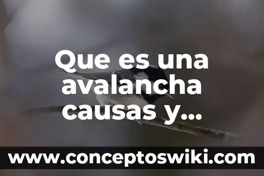 Que es la hepatitis causas y consecuencias 3 Que es una avalancha causas y consecuencias