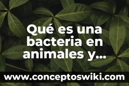 Que es un regulador de crecimiento en plantas 4 Qué es una bacteria en animales y plantas escritura