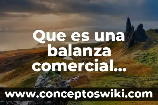Que es nombre comercial en medicamentos 5 Que es una balanza comercial superavitaria