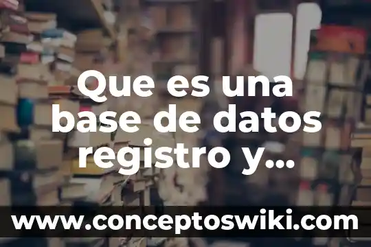 Qué es un sector en una base de datos 6 Que es una base de datos registro y campo