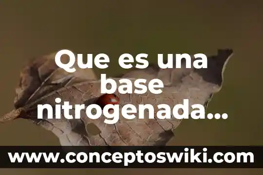 Que es nombre bulgar en biologia 3 Que es una base nitrogenada biologia