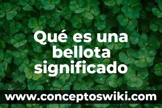 Que es precolombino significado 6 Qué es una bellota significado