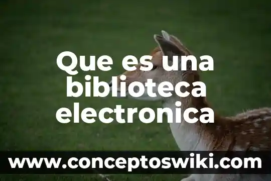 Por que es necesario la firma electrónica sat 6 Que es una biblioteca electronica