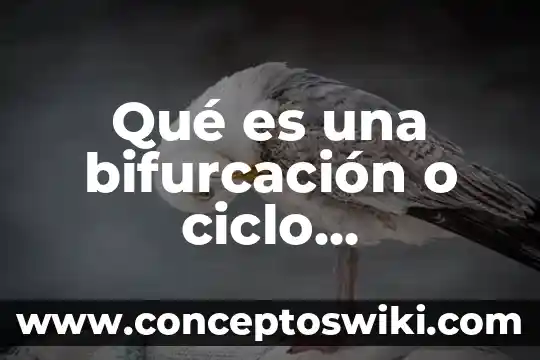 Que es un cohuina y significado de coihuna 3 Qué es una bifurcación o ciclo significado