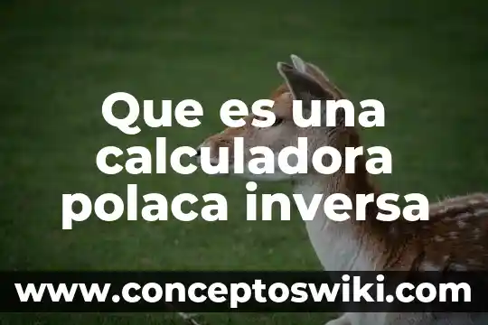 Qué es polarización directa e inversa 8 Que es una calculadora polaca inversa