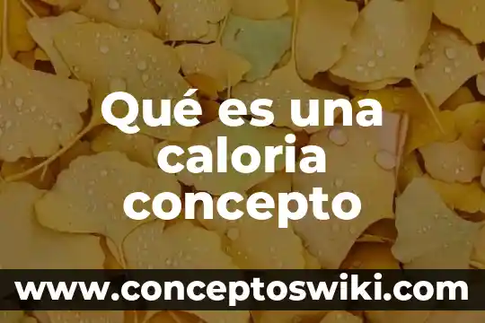 Que es caloria en nutricion animal 4 Qué es una caloria concepto