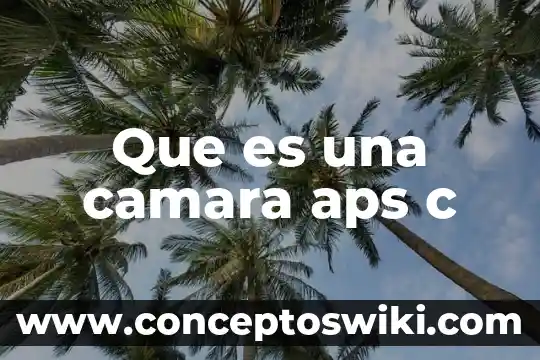 C++ que es getch 3 Que es una camara aps c