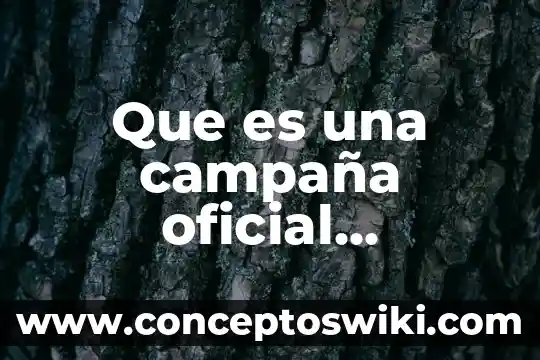 Qué es la calidad oficial mexicana 3 Que es una campaña oficial ejemplos