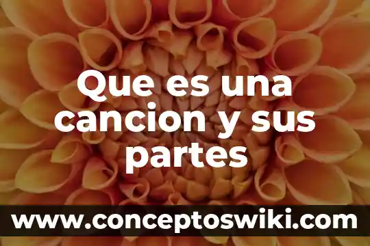 Qué es un óvulo y cuáles son sus partes 6 Que es una cancion y sus partes