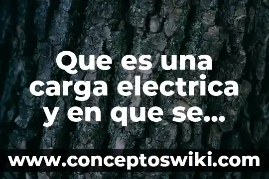 Qué es la resistencia eléctrica en qué unidades se mide 3 Que es una carga electrica y en que se mide