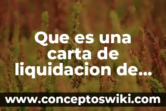 Que es la deuda publica de un pais 5 Que es una carta de liquidacion de deuda