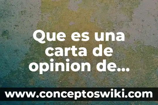 Que es nivel de intrusion 6 Que es una carta de opinion de nivel primaria
