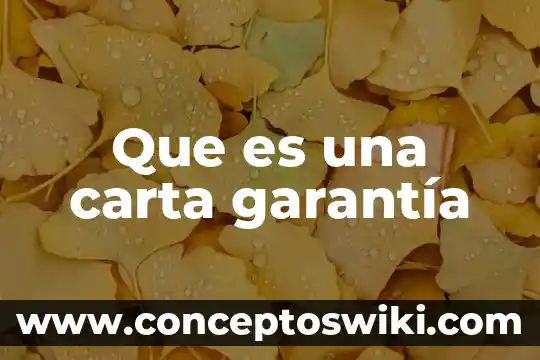Que es una consola de red 8 Que es una carta garantía