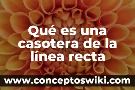 Que es recta en geometria y ejemplos 5 Qué es una casotera de la línea recta