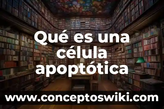 Que es lo mas importante de la celula animal 6 Qué es una célula apoptótica