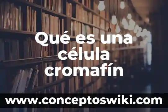 Que es la membrana celular dela celula animal 3 Qué es una célula cromafín