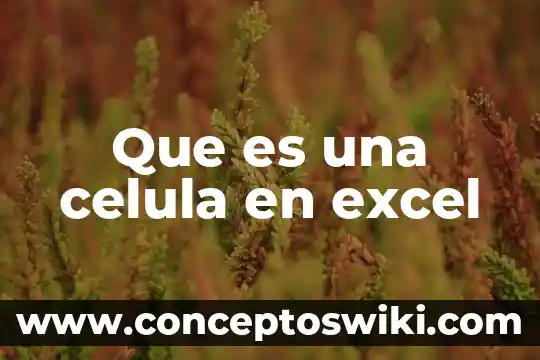 Qué es la difusión en una célula animal 8 Que es una celula en excel