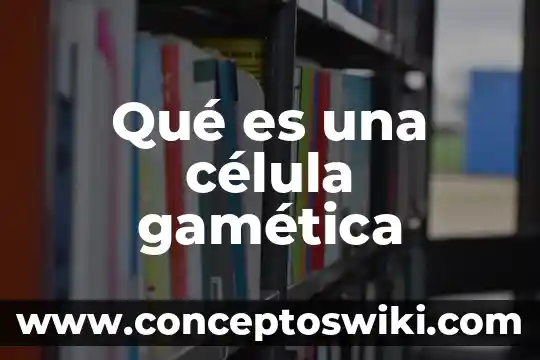 Qué es la célula muscular cardíaca 6 Qué es una célula gamética