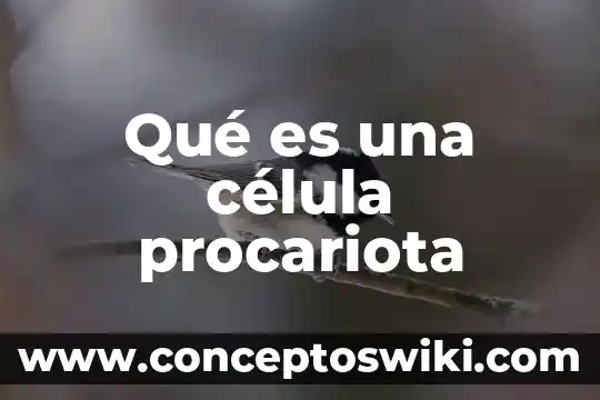 Qué es una célula gamética 4 Qué es una célula procariota