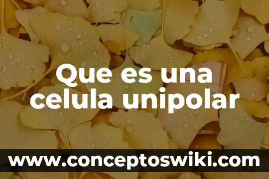 Célula animal y qué es en inglés 4 Que es una celula unipolar