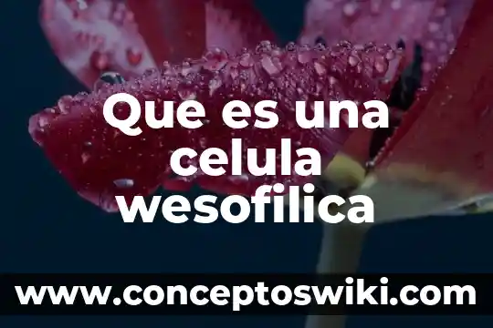 Célula animal y qué es en inglés 3 Que es una celula wesofilica