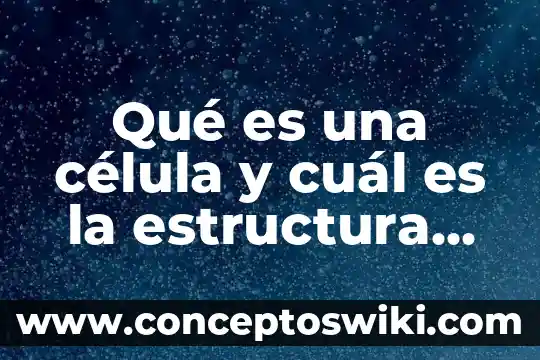 Qué es la difusión en una célula animal 4 Qué es una célula y cuál es la estructura básica