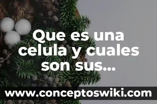 Que es una mesa redonda y cuales son sus funciones 8 Que es una celula y cuales son sus caracteristicas