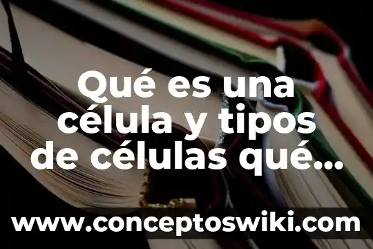 Que es la prueba de identificacion de celulas espermaticas 8 Qué es una célula y tipos de células qué existen