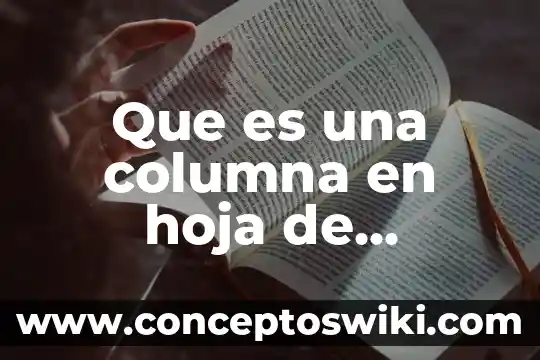 Qué es el índice de octano y para qué sirve 3 Que es una columna en hoja de calculos