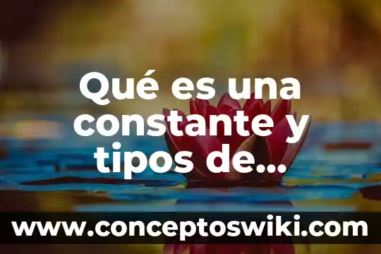 Que es mab constante medicina 8 Qué es una constante y tipos de constantes