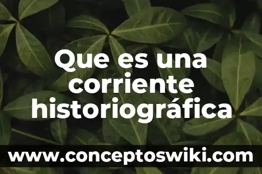 Que es principio en materia penal 5 Que es una corriente historiográfica