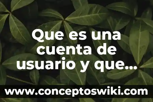 Que es una reaccion quimica y cuantos tipos hay 7 Que es una cuenta de usuario y que tipos existen